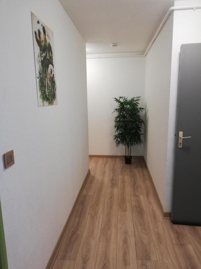 Grand T3 Avec Clim, Parking Et Terrasse Privative - Agen Apartamento Exterior foto